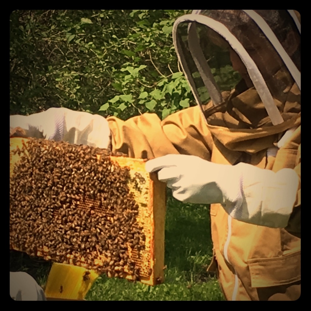 👋 Hi, I’m Susan. Birding beekeeper